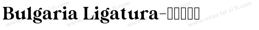 Bulgaria Ligatura字体转换